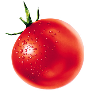 pomidori-pri-diabete